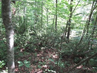 Great building lot in a golf course neighborhood with community on The Rock At Jocassee in South Carolina - for sale on GolfHomes.com, golf home, golf lot