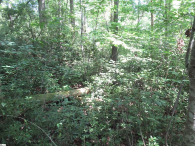 Great building lot in a golf course neighborhood with community on The Rock At Jocassee in South Carolina - for sale on GolfHomes.com, golf home, golf lot