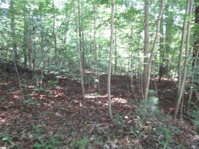 Great building lot in a golf course neighborhood with community on The Rock At Jocassee in South Carolina - for sale on GolfHomes.com, golf home, golf lot