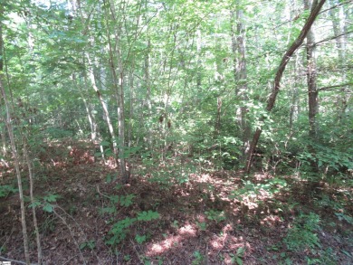Great building lot in a golf course neighborhood with community on The Rock At Jocassee in South Carolina - for sale on GolfHomes.com, golf home, golf lot