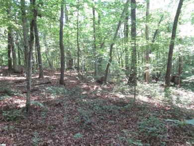 Superior building lot in the Rock at Jocassee Golf course.  This on The Rock At Jocassee in South Carolina - for sale on GolfHomes.com, golf home, golf lot