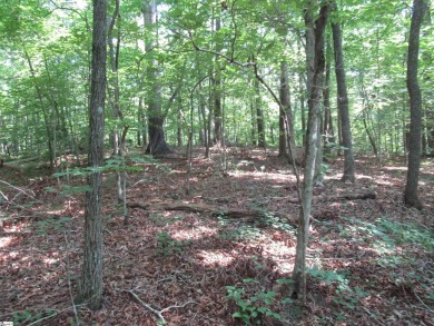 Superior building lot in the Rock at Jocassee Golf course.  This on The Rock At Jocassee in South Carolina - for sale on GolfHomes.com, golf home, golf lot