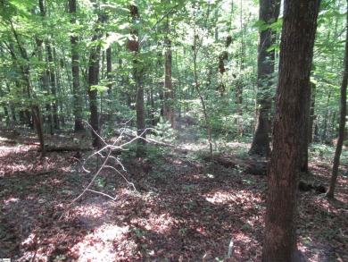 Superior building lot in the Rock at Jocassee Golf course.  This on The Rock At Jocassee in South Carolina - for sale on GolfHomes.com, golf home, golf lot