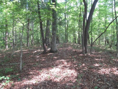 Superior building lot in the Rock at Jocassee Golf course.  This on The Rock At Jocassee in South Carolina - for sale on GolfHomes.com, golf home, golf lot