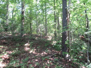 Superior building lot in the Rock at Jocassee Golf course.  This on The Rock At Jocassee in South Carolina - for sale on GolfHomes.com, golf home, golf lot