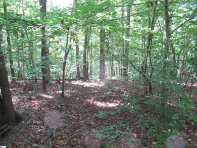 Superior building lot in the Rock at Jocassee Golf course.  This on The Rock At Jocassee in South Carolina - for sale on GolfHomes.com, golf home, golf lot