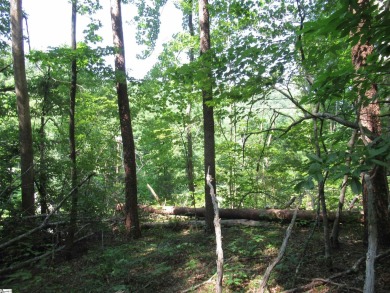 Superior building lot in the Rock at Jocassee Golf course.  This on The Rock At Jocassee in South Carolina - for sale on GolfHomes.com, golf home, golf lot