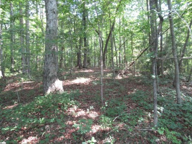 Superior building lot in the Rock at Jocassee Golf course.  This on The Rock At Jocassee in South Carolina - for sale on GolfHomes.com, golf home, golf lot
