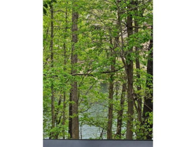 Beautiful buildable Loch Lomand Lake area lot in established on Bella Vista Country Club - Scottsdale in Arkansas - for sale on GolfHomes.com, golf home, golf lot