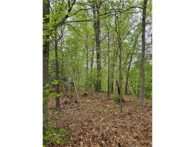 Beautiful buildable Loch Lomand Lake area lot in established on Bella Vista Country Club - Scottsdale in Arkansas - for sale on GolfHomes.com, golf home, golf lot