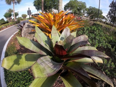Welcome to this beautifully updated 2-bedroom, 2-bathroom on Ventura Country Club in Florida - for sale on GolfHomes.com, golf home, golf lot