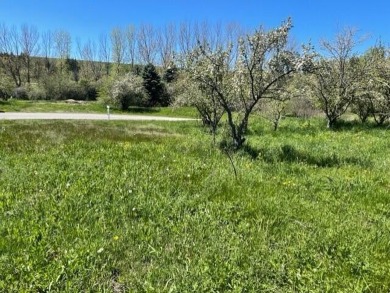 Beautiful Building Site with a hilltop view and orchard on Lakeside Links Golf Course in Michigan - for sale on GolfHomes.com, golf home, golf lot