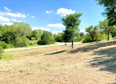 Build here! No HOA. The perfect size lot at 0.189 acres. Need on The Club At Runaway Bay in Texas - for sale on GolfHomes.com, golf home, golf lot