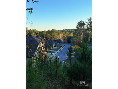 Discover this exceptional home built in 2020. This ONE LEVEL on Lake Forest Yacht and Country Club in Alabama - for sale on GolfHomes.com, golf home, golf lot