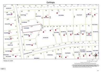 NICE BUILDABLE LOT!!!! Looking to build your dream home? Come on River Golf and County Club at Lake Royale in North Carolina - for sale on GolfHomes.com, golf home, golf lot