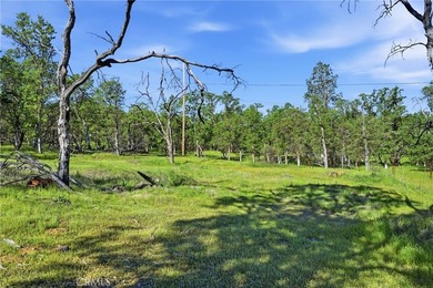 Wonderful opportunity to build your dream home in the desirable on  in California - for sale on GolfHomes.com, golf home, golf lot