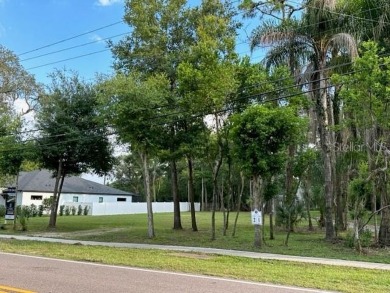 Vacant Lot, No HOA!  Excellent opportunity to design and build a on Buckhorn Springs Golf and Country Club in Florida - for sale on GolfHomes.com, golf home, golf lot