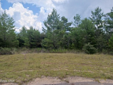 Potential building lot in Sunny Hills at the end of a cul de sac on Sunny Hills Golf and Country Club in Florida - for sale on GolfHomes.com, golf home, golf lot