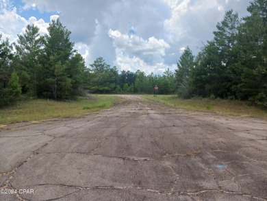 Potential building lot in Sunny Hills at the end of a cul de sac on Sunny Hills Golf and Country Club in Florida - for sale on GolfHomes.com, golf home, golf lot