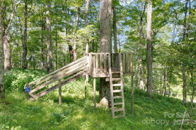Perched at the pinnacle of the 5,300-acre gated Wolf Laurel on Wolf Laurel Country Club in North Carolina - for sale on GolfHomes.com, golf home, golf lot