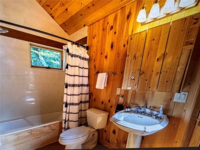 TWO HOMES located on 5 Acres: The Best Long Range Views. The on Beech Mountain Club in North Carolina - for sale on GolfHomes.com, golf home, golf lot