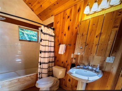 TWO HOMES located on 5 Acres: The Best Long Range Views. The on Beech Mountain Club in North Carolina - for sale on GolfHomes.com, golf home, golf lot