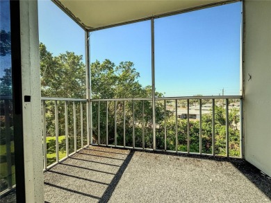 Investment Opportunity in Bradenton's Pinebrook Ironwood Golf on Pinebrook/Ironwood Golf Course in Florida - for sale on GolfHomes.com, golf home, golf lot