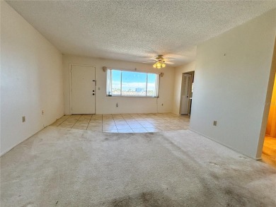 Investment Opportunity in Bradenton's Pinebrook Ironwood Golf on Pinebrook/Ironwood Golf Course in Florida - for sale on GolfHomes.com, golf home, golf lot