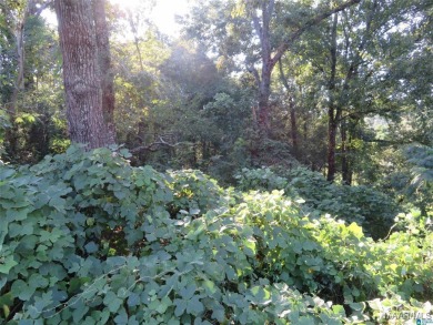 Wooded Lot Available in Savannah Place!
Build your dream home on The Pines Golf Club in Alabama - for sale on GolfHomes.com, golf home, golf lot