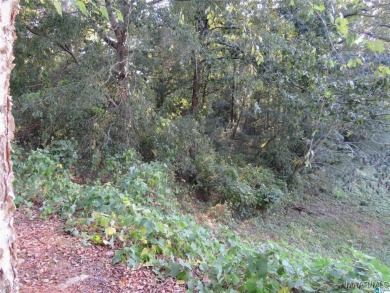 Wooded Lot Available in Savannah Place!
Build your dream home on The Pines Golf Club in Alabama - for sale on GolfHomes.com, golf home, golf lot