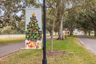 Under contract-accepting backup offers. NEW 3 Ton 16 Seer AC on Zellwood Station Country Club in Florida - for sale on GolfHomes.com, golf home, golf lot