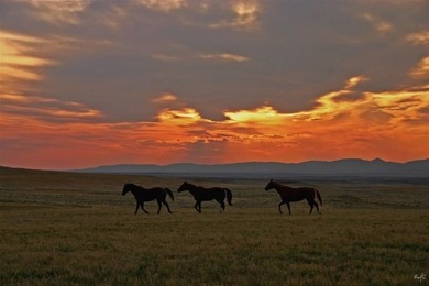 Don't miss out on this stunning water view lot located in on  in Montana - for sale on GolfHomes.com, golf home, golf lot