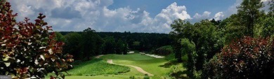 Corner lot in River Forest! This lot overlooks the golf course on The Club River Forest in Georgia - for sale on GolfHomes.com, golf home, golf lot