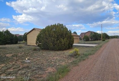 Great home in a nice little, what used to be golf course on Pine Meadows Country Club in Arizona - for sale on GolfHomes.com, golf home, golf lot