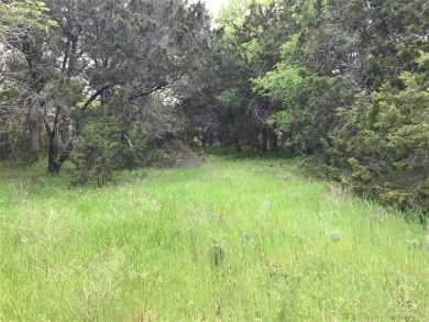 Two lots being sold for one price. Great location with corp land on White Bluff Resort - Old Course in Texas - for sale on GolfHomes.com, golf home, golf lot