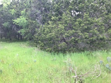 Two lots being sold for one price. Great location with corp land on White Bluff Resort - Old Course in Texas - for sale on GolfHomes.com, golf home, golf lot