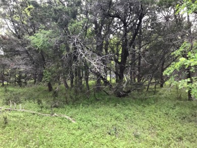 Two lots being sold for one price. Great location with corp land on White Bluff Resort - Old Course in Texas - for sale on GolfHomes.com, golf home, golf lot