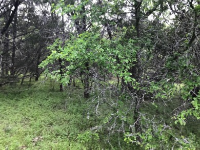 Two lots being sold for one price. Great location with corp land on White Bluff Resort - Old Course in Texas - for sale on GolfHomes.com, golf home, golf lot