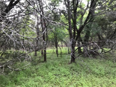 Two lots being sold for one price. Great location with corp land on White Bluff Resort - Old Course in Texas - for sale on GolfHomes.com, golf home, golf lot