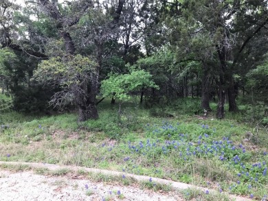 Two lots being sold for one price. Great location with corp land on White Bluff Resort - Old Course in Texas - for sale on GolfHomes.com, golf home, golf lot