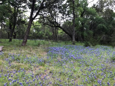 Two lots being sold for one price. Great location with corp land on White Bluff Resort - Old Course in Texas - for sale on GolfHomes.com, golf home, golf lot