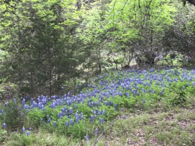 Two lots being sold for one price. Great location with corp land on White Bluff Resort - Old Course in Texas - for sale on GolfHomes.com, golf home, golf lot