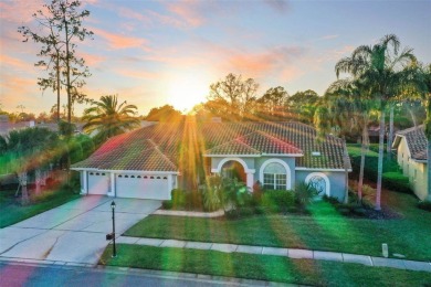 ~Gorgeous, bright, and spacious 4-bedrooms with an office, 3 on East Lake Woodlands Country Club in Florida - for sale on GolfHomes.com, golf home, golf lot