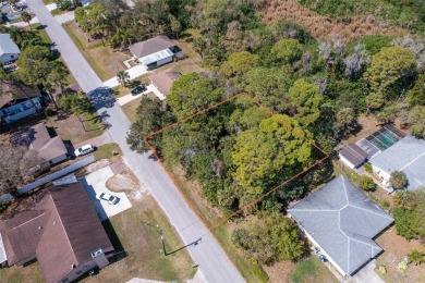 Discover an exceptional opportunity to own a 10,000 square foot on Jacaranda West Country Club in Florida - for sale on GolfHomes.com, golf home, golf lot