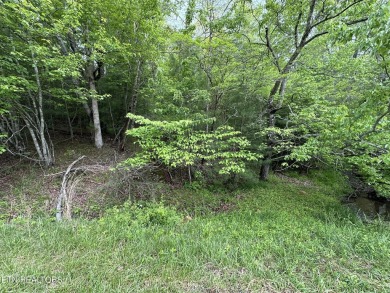 Build your dream home in the desirable Forest Hill subdivison in on Heatherhurst Golf Course in Tennessee - for sale on GolfHomes.com, golf home, golf lot
