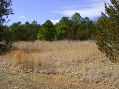 Great golf course lots at an affordable price. These lots are on on The Course At Turkey Mountain in Arkansas - for sale on GolfHomes.com, golf home, golf lot