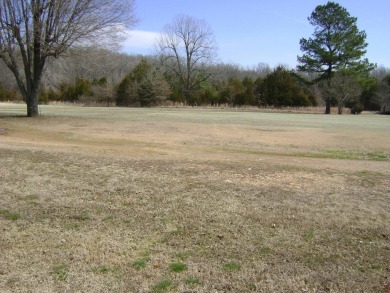 Great golf course lots at an affordable price. These lots are on on The Course At Turkey Mountain in Arkansas - for sale on GolfHomes.com, golf home, golf lot