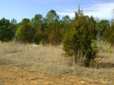 Great golf course lots at an affordable price. These lots are on on The Course At Turkey Mountain in Arkansas - for sale on GolfHomes.com, golf home, golf lot