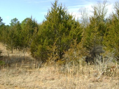 Great golf course lots at an affordable price. These lots are on on The Course At Turkey Mountain in Arkansas - for sale on GolfHomes.com, golf home, golf lot