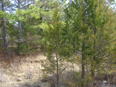 Great golf course lots at an affordable price. These lots are on on The Course At Turkey Mountain in Arkansas - for sale on GolfHomes.com, golf home, golf lot